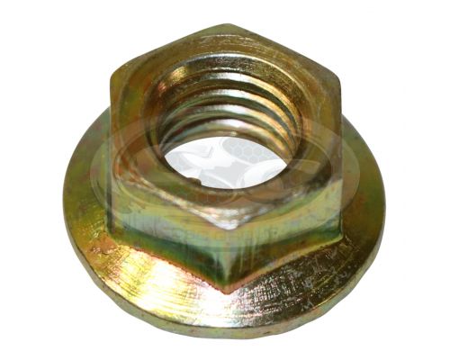 Extractor/Manifold flanged steel nuts