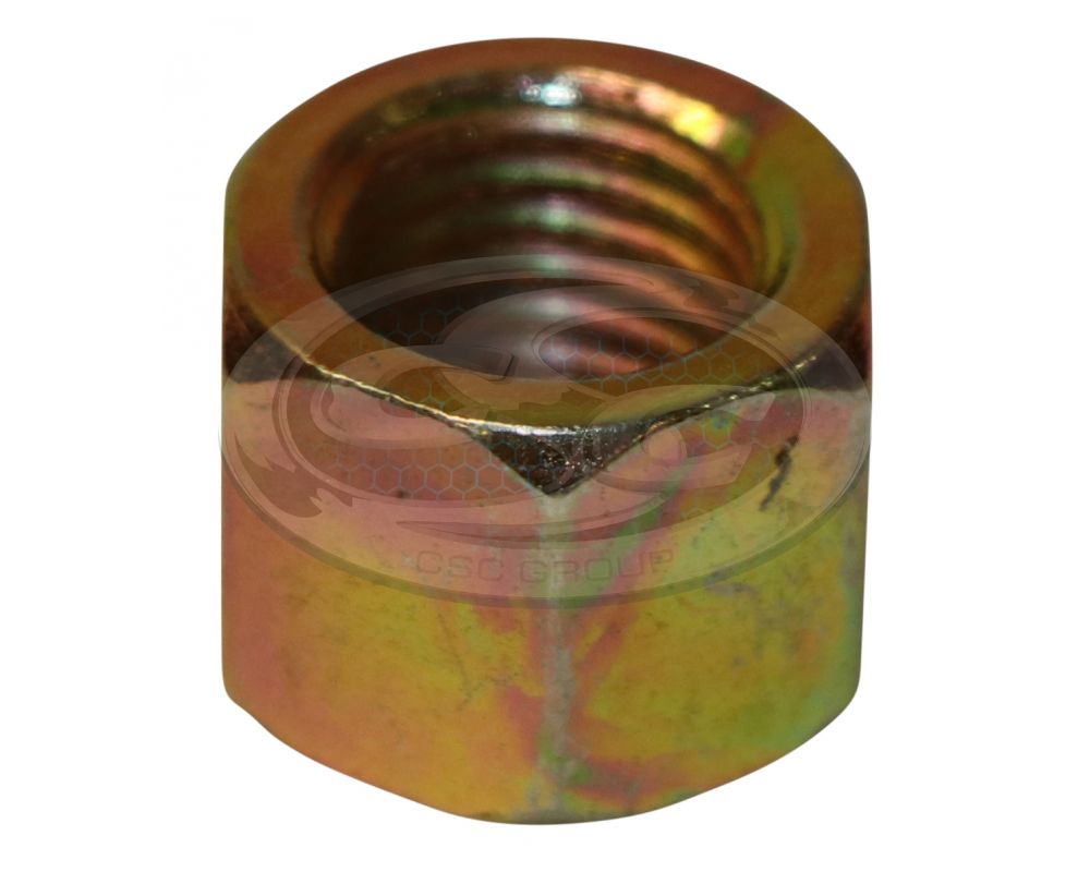 Extractor/Manifold steel nuts