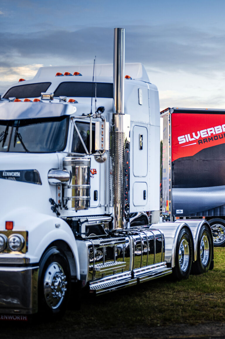 Silverback Fender or Mudguards for trucks