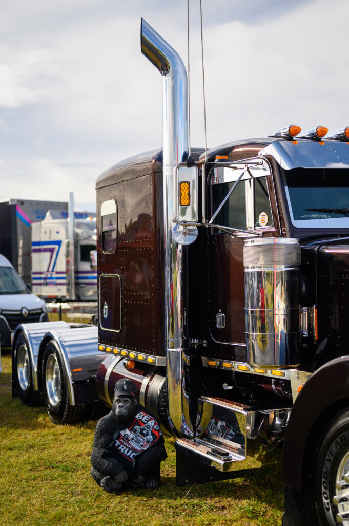 Peterbilt-379-Upgraded-wih-Silverback-2