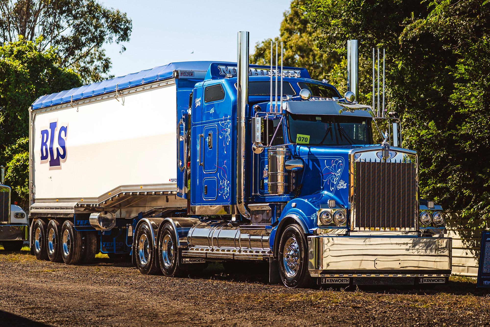 T909-with-complete-Silverback